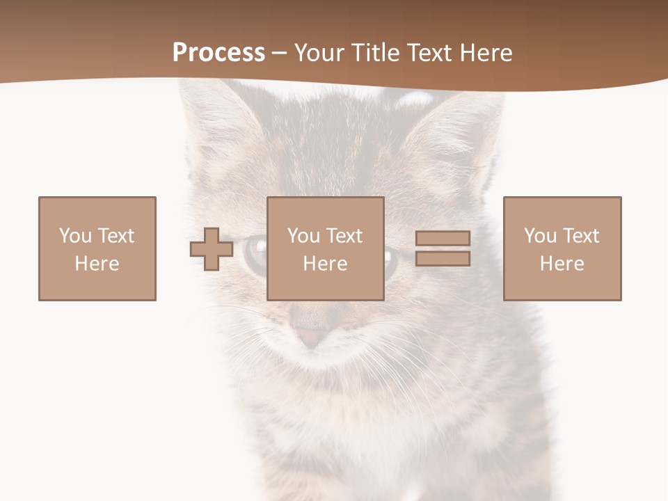 Elderly Senior Beach PowerPoint Template