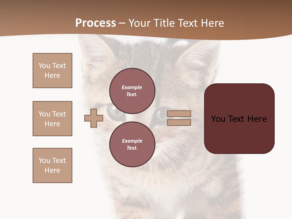 Elderly Senior Beach PowerPoint Template