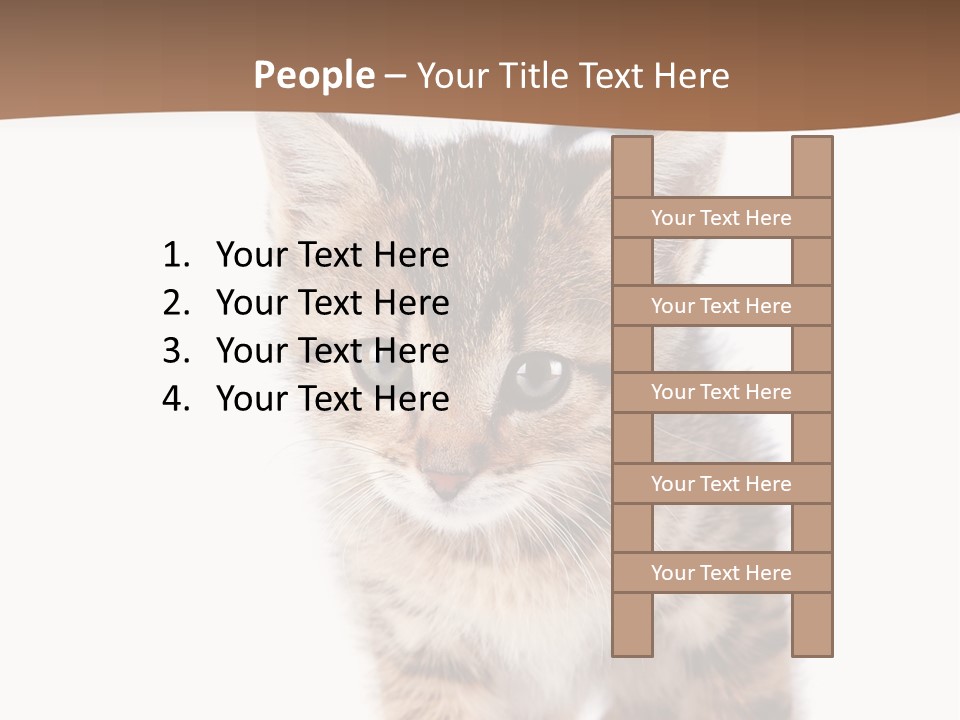 Elderly Senior Beach PowerPoint Template