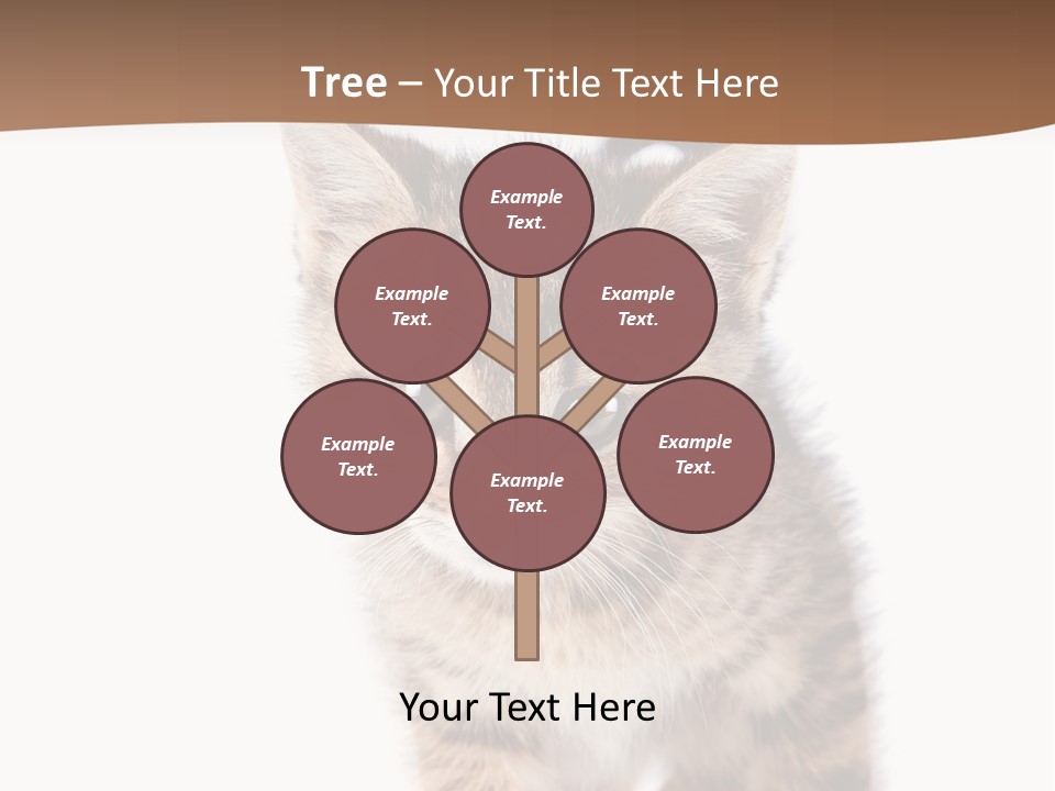 Elderly Senior Beach PowerPoint Template