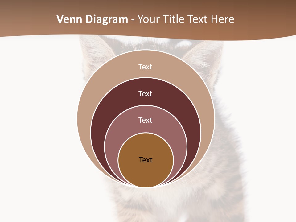 Elderly Senior Beach PowerPoint Template