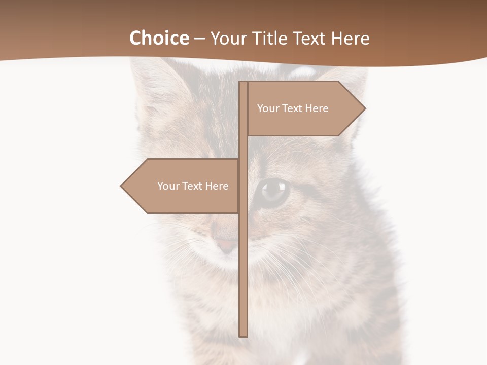 Elderly Senior Beach PowerPoint Template