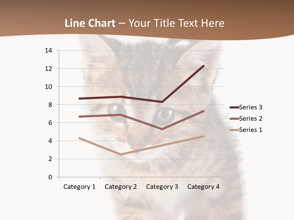 Elderly Senior Beach PowerPoint Template