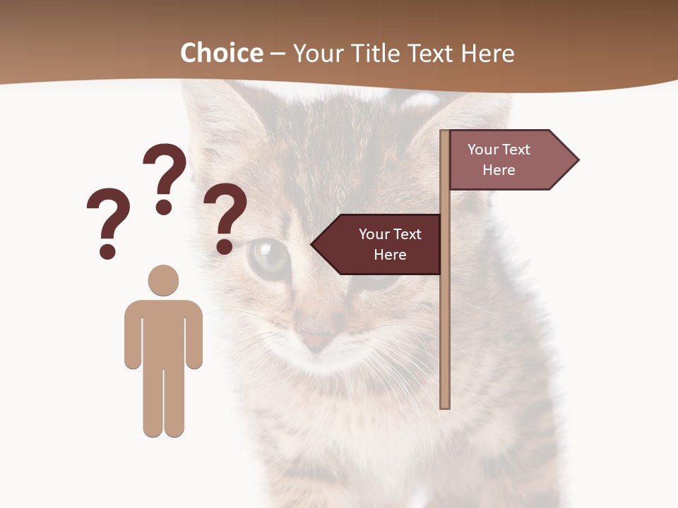 Elderly Senior Beach PowerPoint Template