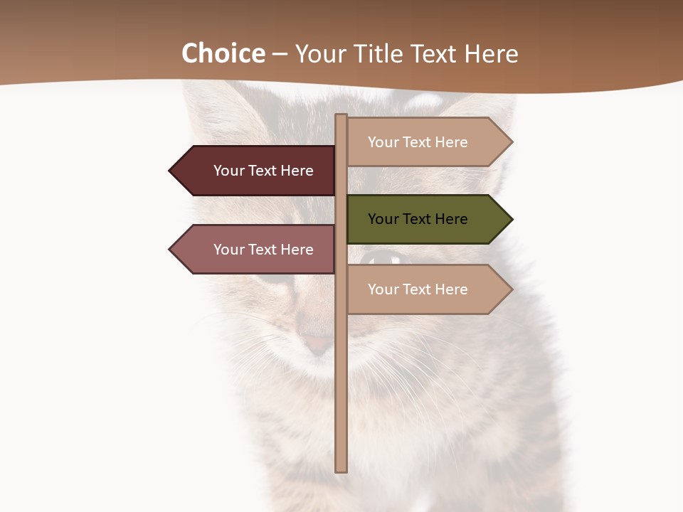 Elderly Senior Beach PowerPoint Template