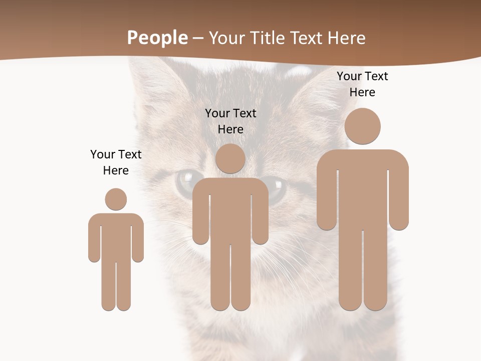 Elderly Senior Beach PowerPoint Template