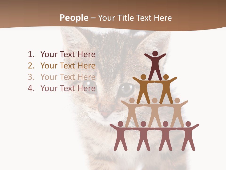 Elderly Senior Beach PowerPoint Template