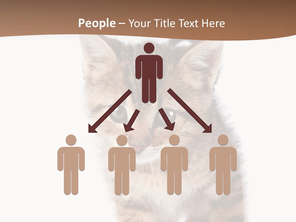 Elderly Senior Beach PowerPoint Template