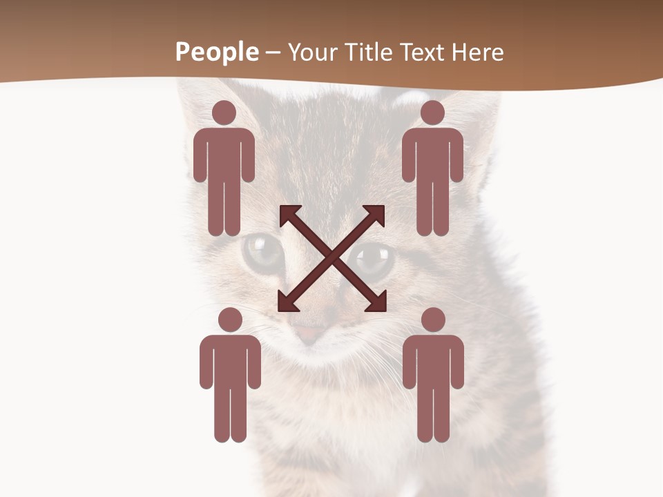 Elderly Senior Beach PowerPoint Template