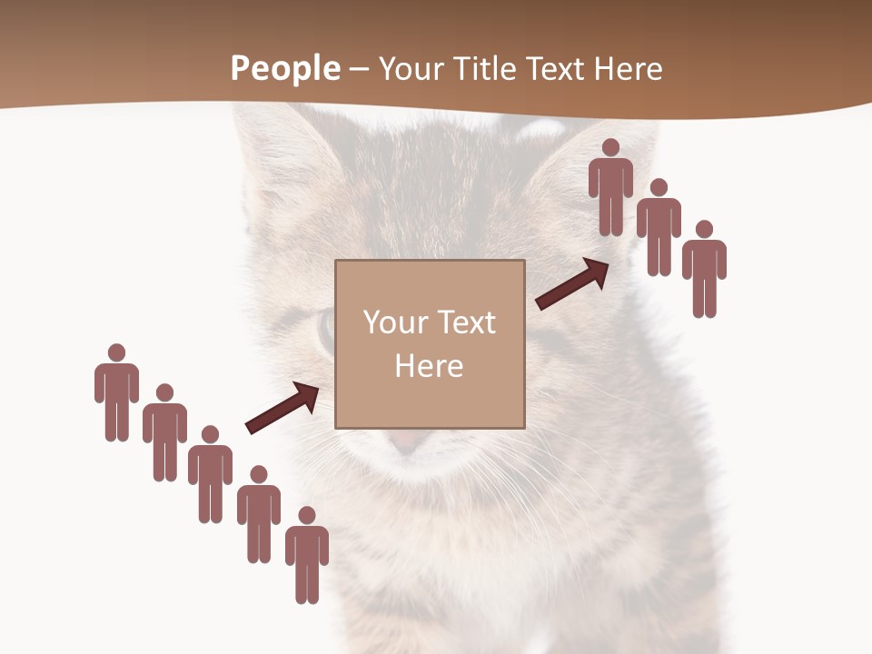 Elderly Senior Beach PowerPoint Template