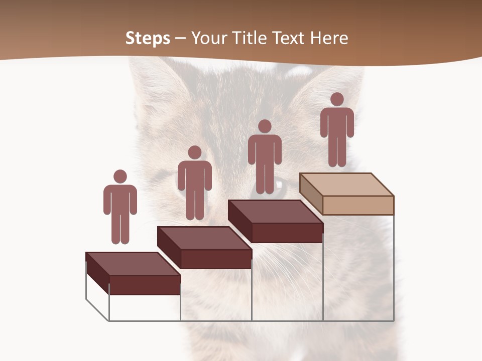 Elderly Senior Beach PowerPoint Template