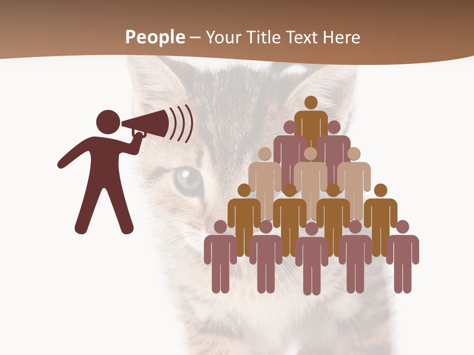 Elderly Senior Beach PowerPoint Template