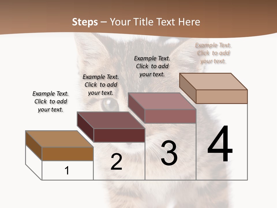 Elderly Senior Beach PowerPoint Template