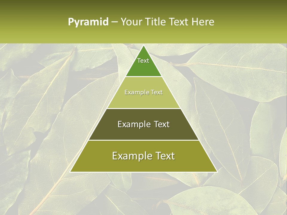 Life Wave Sunset PowerPoint Template
