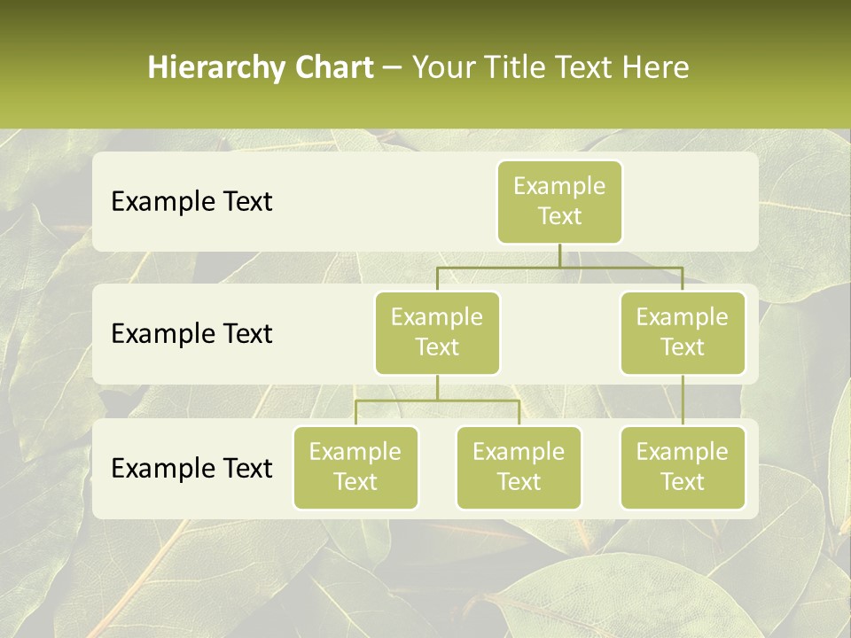 Life Wave Sunset PowerPoint Template