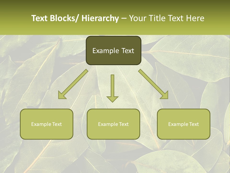 Life Wave Sunset PowerPoint Template