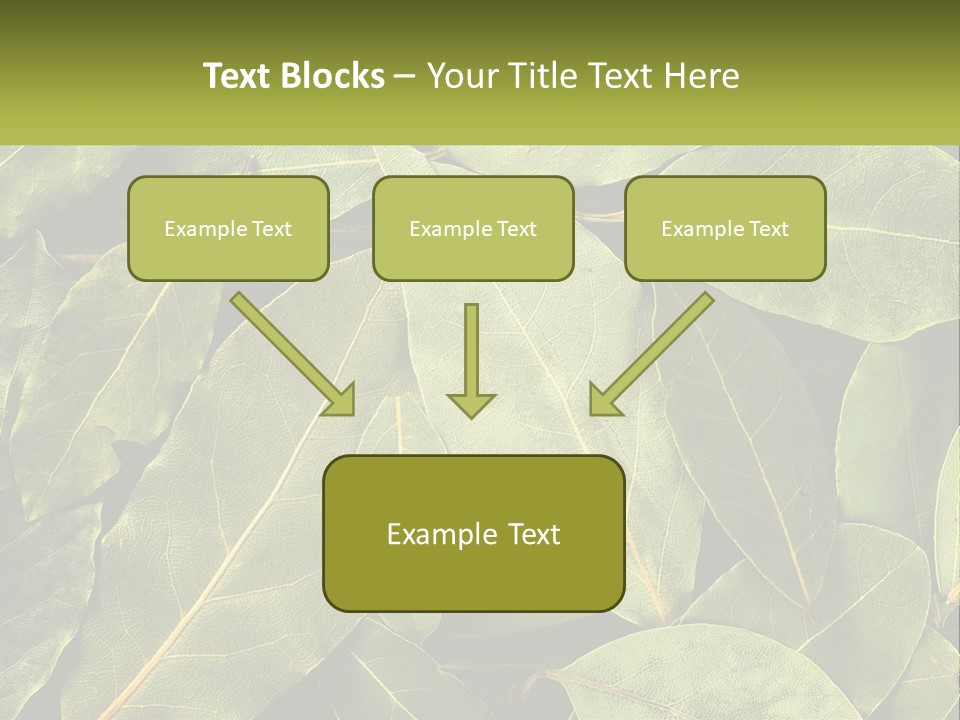 Life Wave Sunset PowerPoint Template