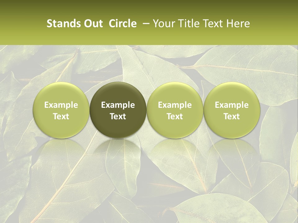 Life Wave Sunset PowerPoint Template