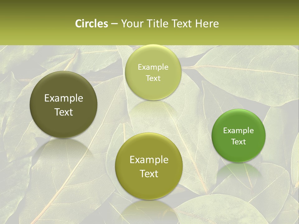 Life Wave Sunset PowerPoint Template