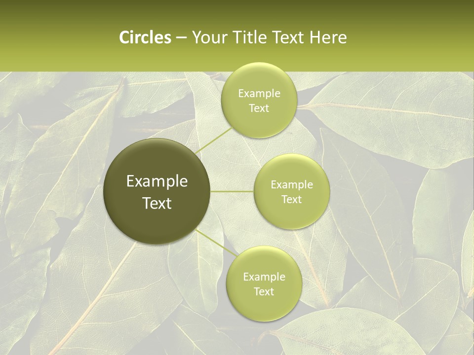 Life Wave Sunset PowerPoint Template