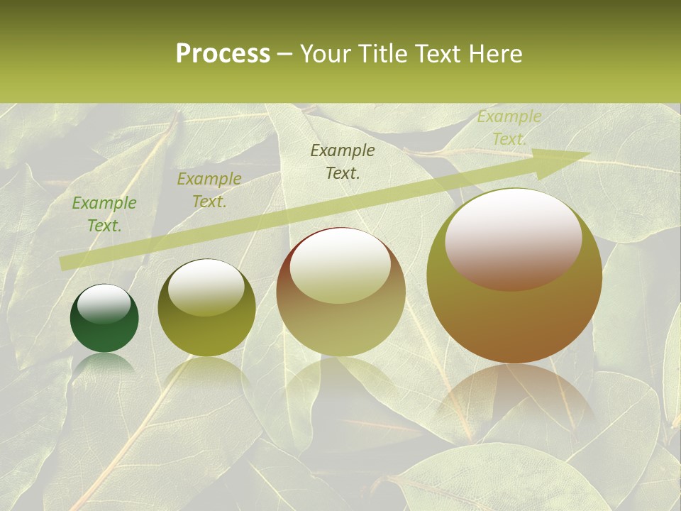 Life Wave Sunset PowerPoint Template