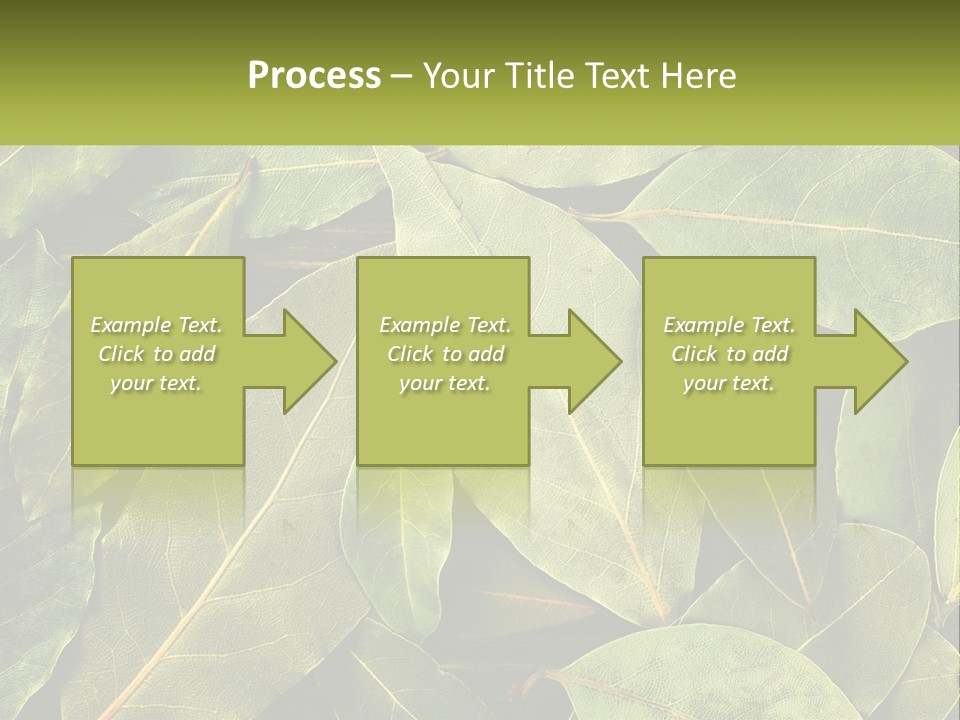 Life Wave Sunset PowerPoint Template