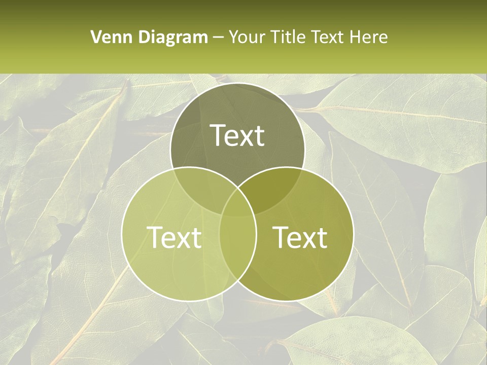 Life Wave Sunset PowerPoint Template