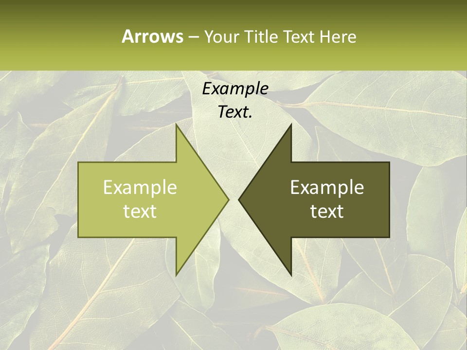 Life Wave Sunset PowerPoint Template