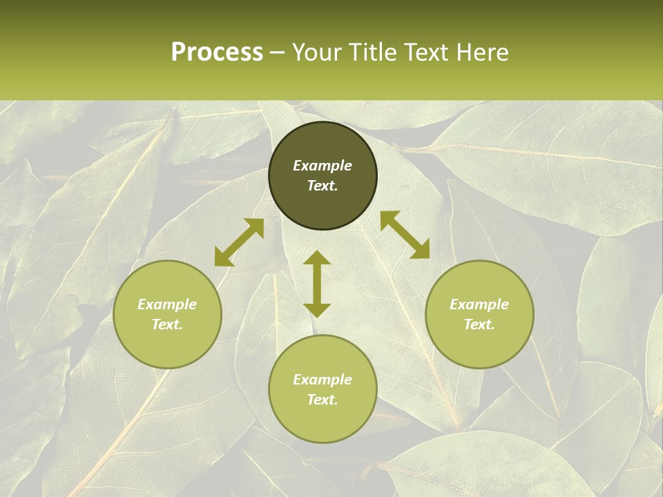 Life Wave Sunset PowerPoint Template