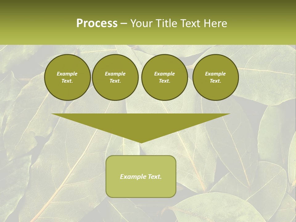 Life Wave Sunset PowerPoint Template