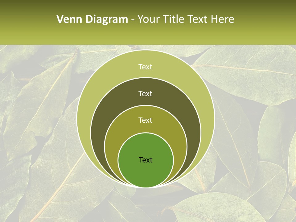Life Wave Sunset PowerPoint Template