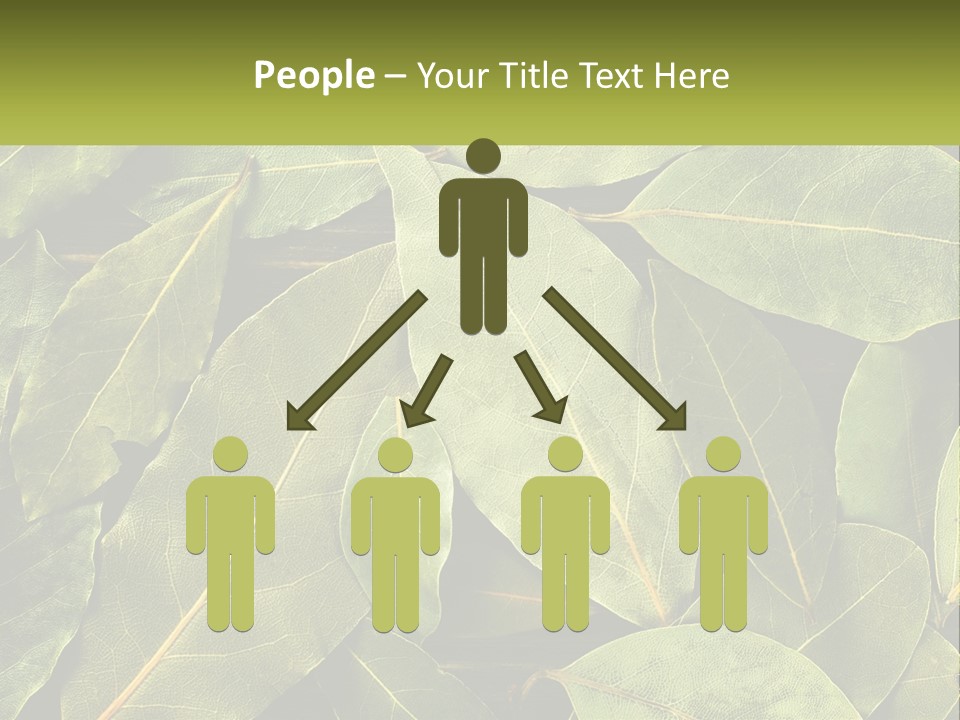 Life Wave Sunset PowerPoint Template