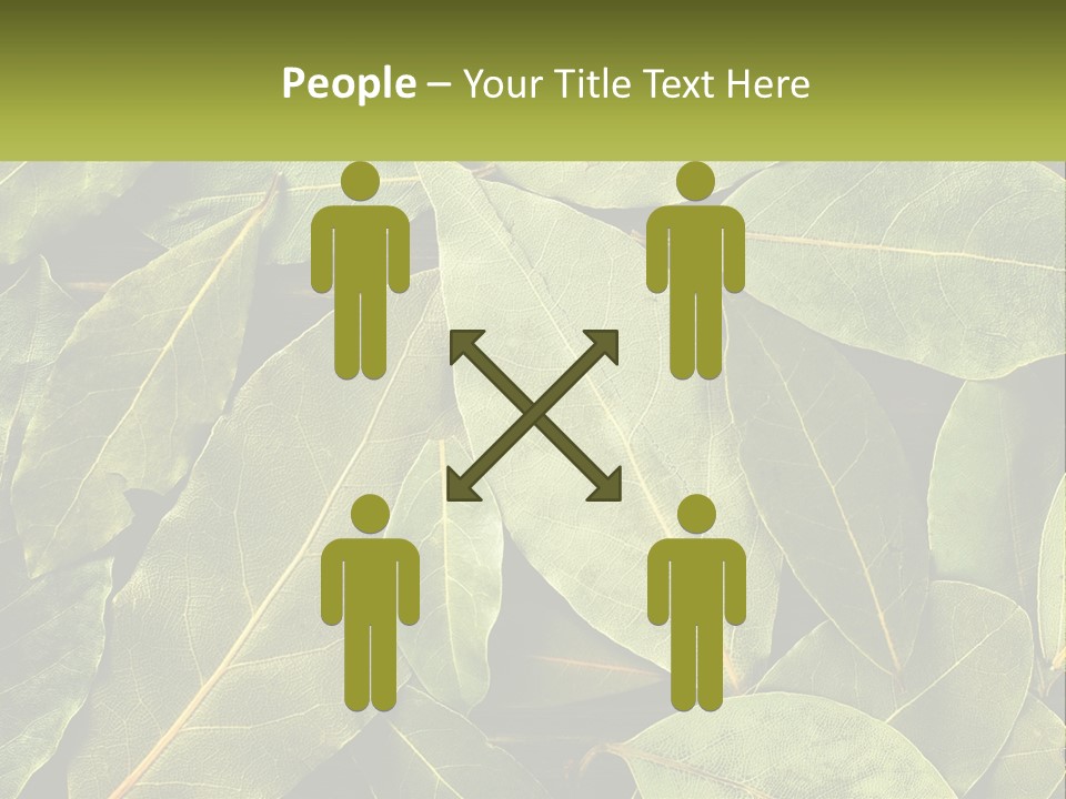 Life Wave Sunset PowerPoint Template