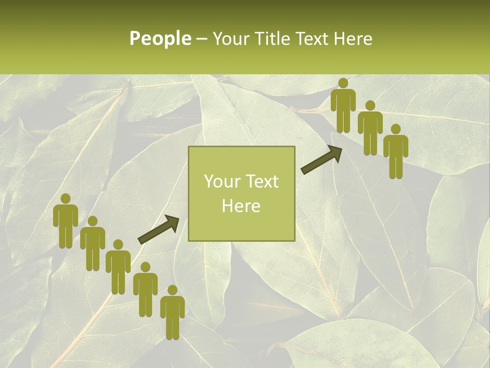 Life Wave Sunset PowerPoint Template