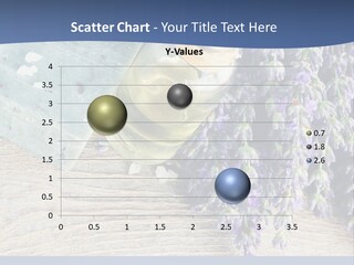 Family Coast Water PowerPoint Template