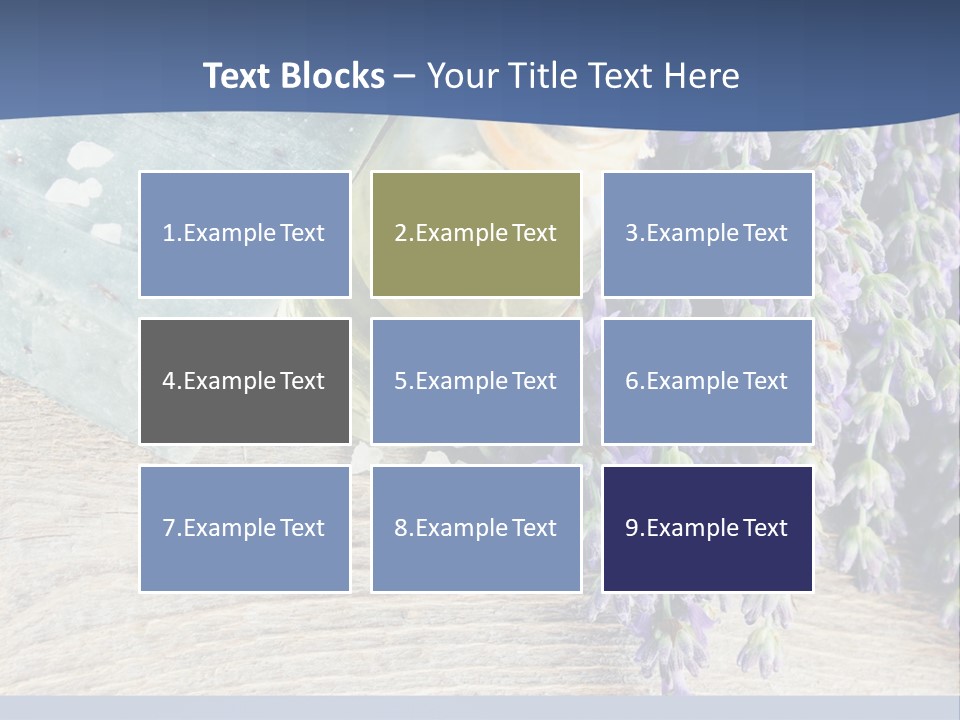 Family Coast Water PowerPoint Template