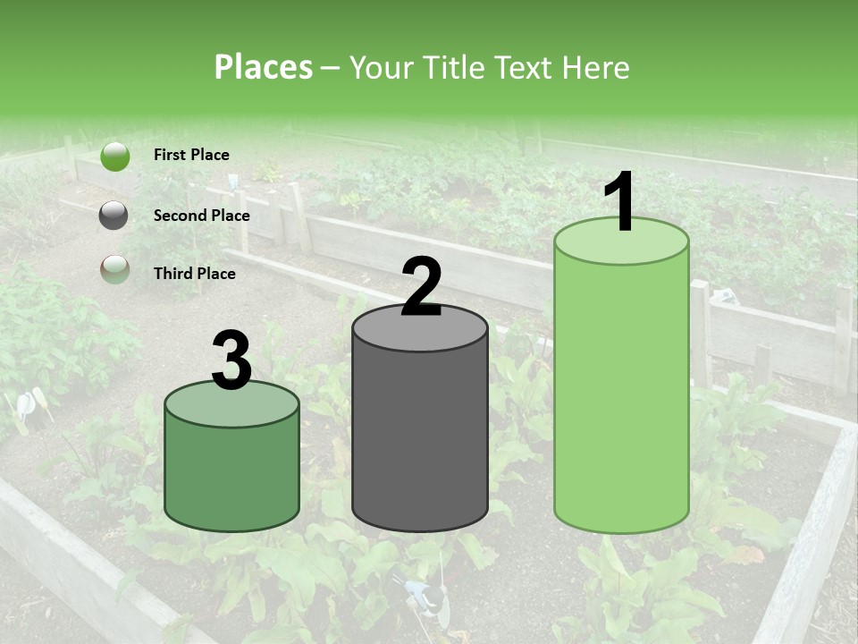 Sunrise Older Wellness PowerPoint Template