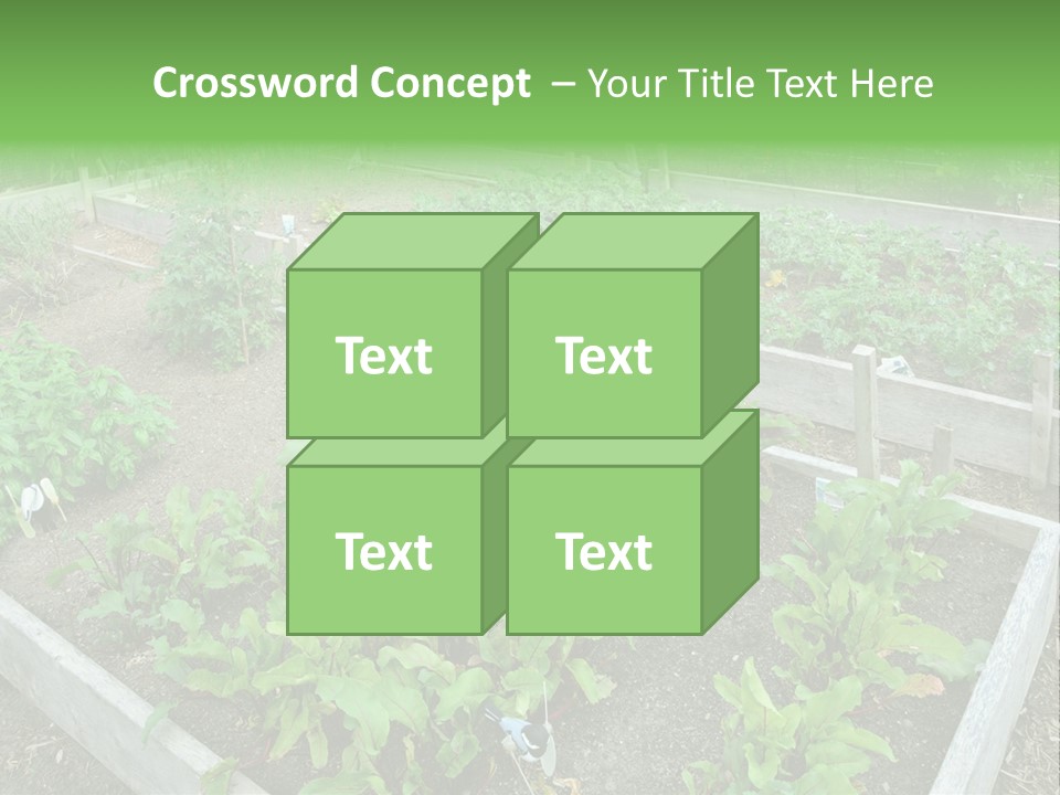 Sunrise Older Wellness PowerPoint Template