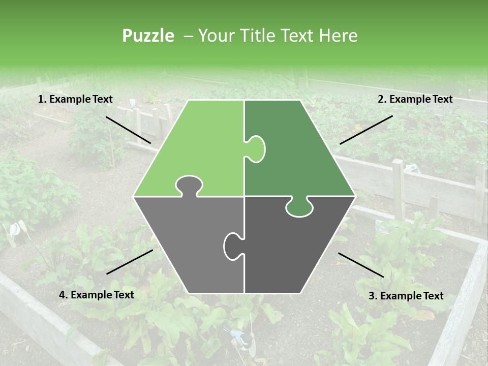 Sunrise Older Wellness PowerPoint Template