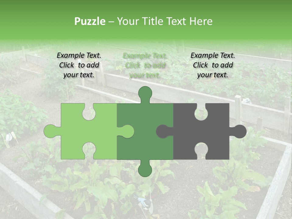 Sunrise Older Wellness PowerPoint Template