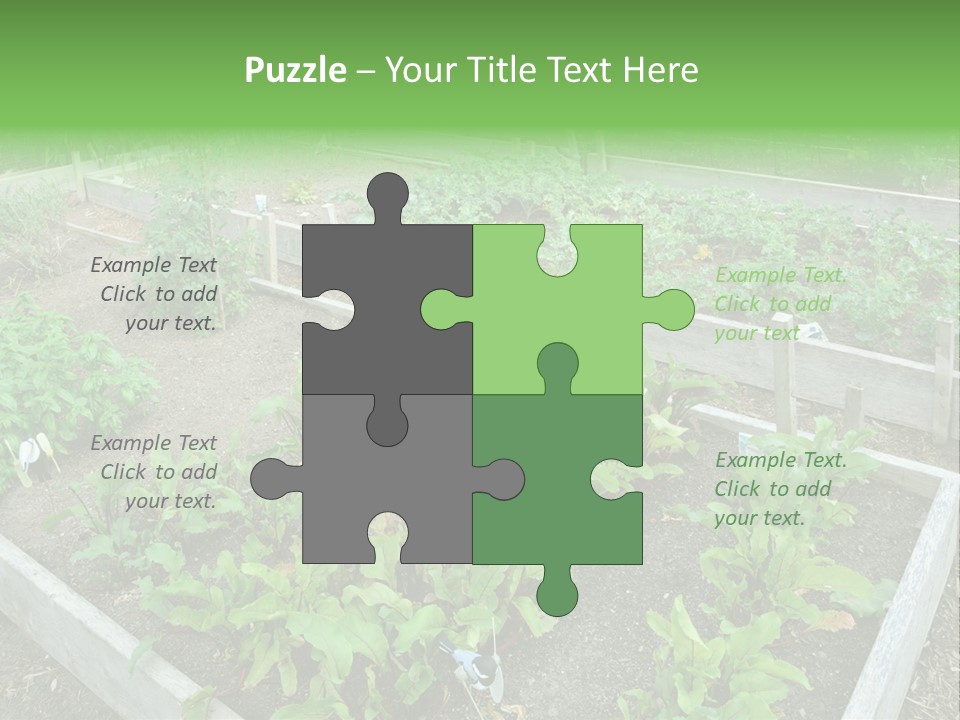 Sunrise Older Wellness PowerPoint Template