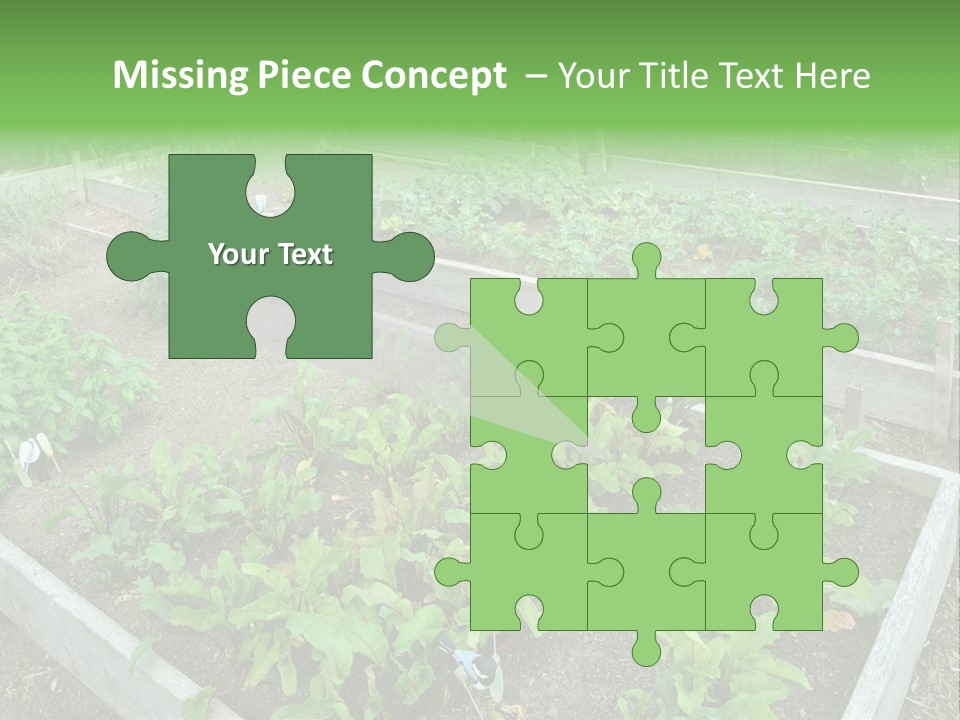 Sunrise Older Wellness PowerPoint Template