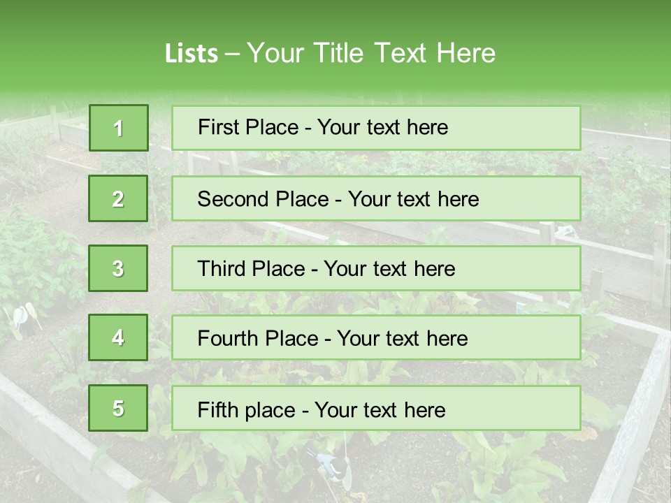 Sunrise Older Wellness PowerPoint Template