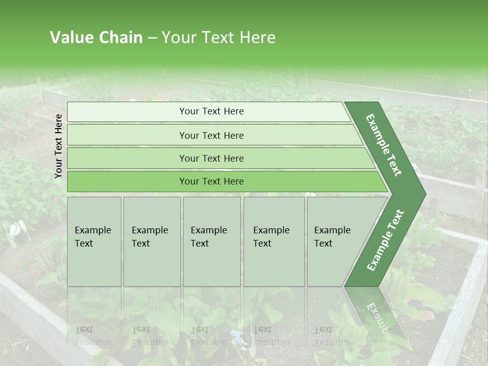 Sunrise Older Wellness PowerPoint Template