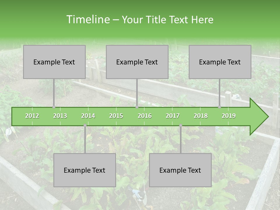 Sunrise Older Wellness PowerPoint Template