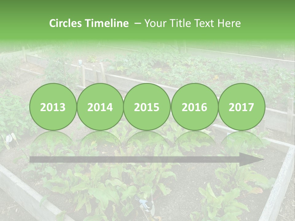 Sunrise Older Wellness PowerPoint Template