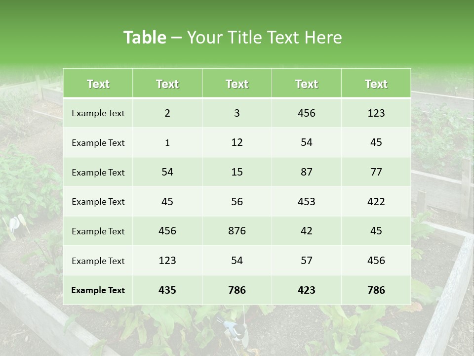 Sunrise Older Wellness PowerPoint Template