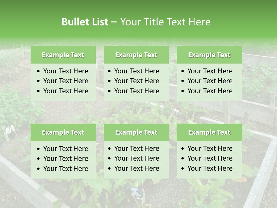 Sunrise Older Wellness PowerPoint Template