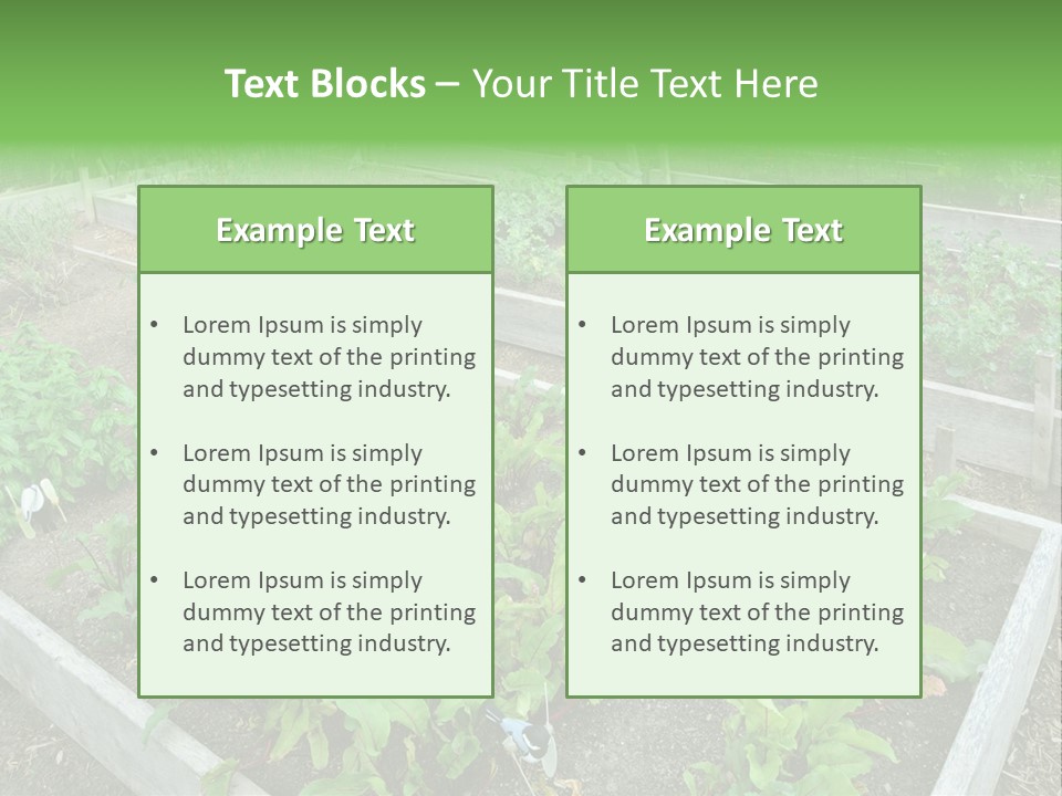 Sunrise Older Wellness PowerPoint Template
