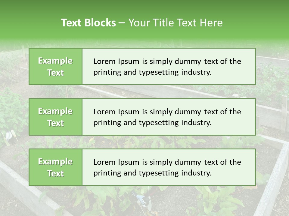 Sunrise Older Wellness PowerPoint Template